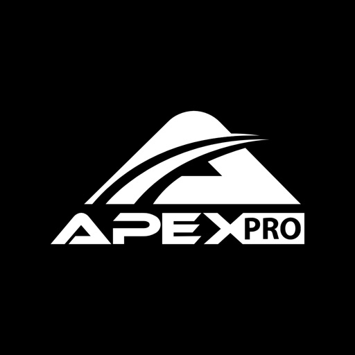 APEX赛车手分类图标