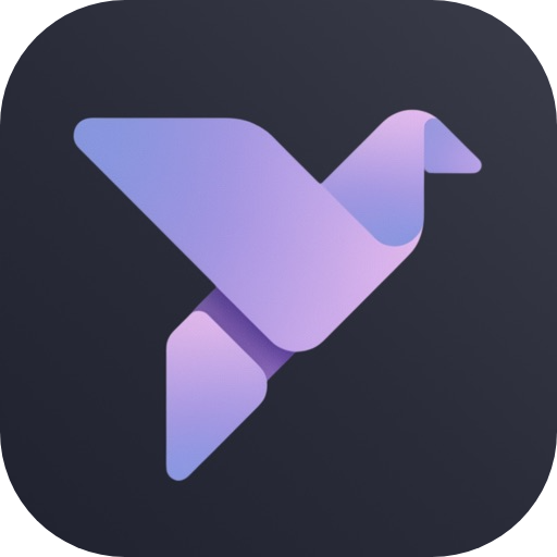 夜翼阅读器_1.0.5.ipa - iOS应用图标
